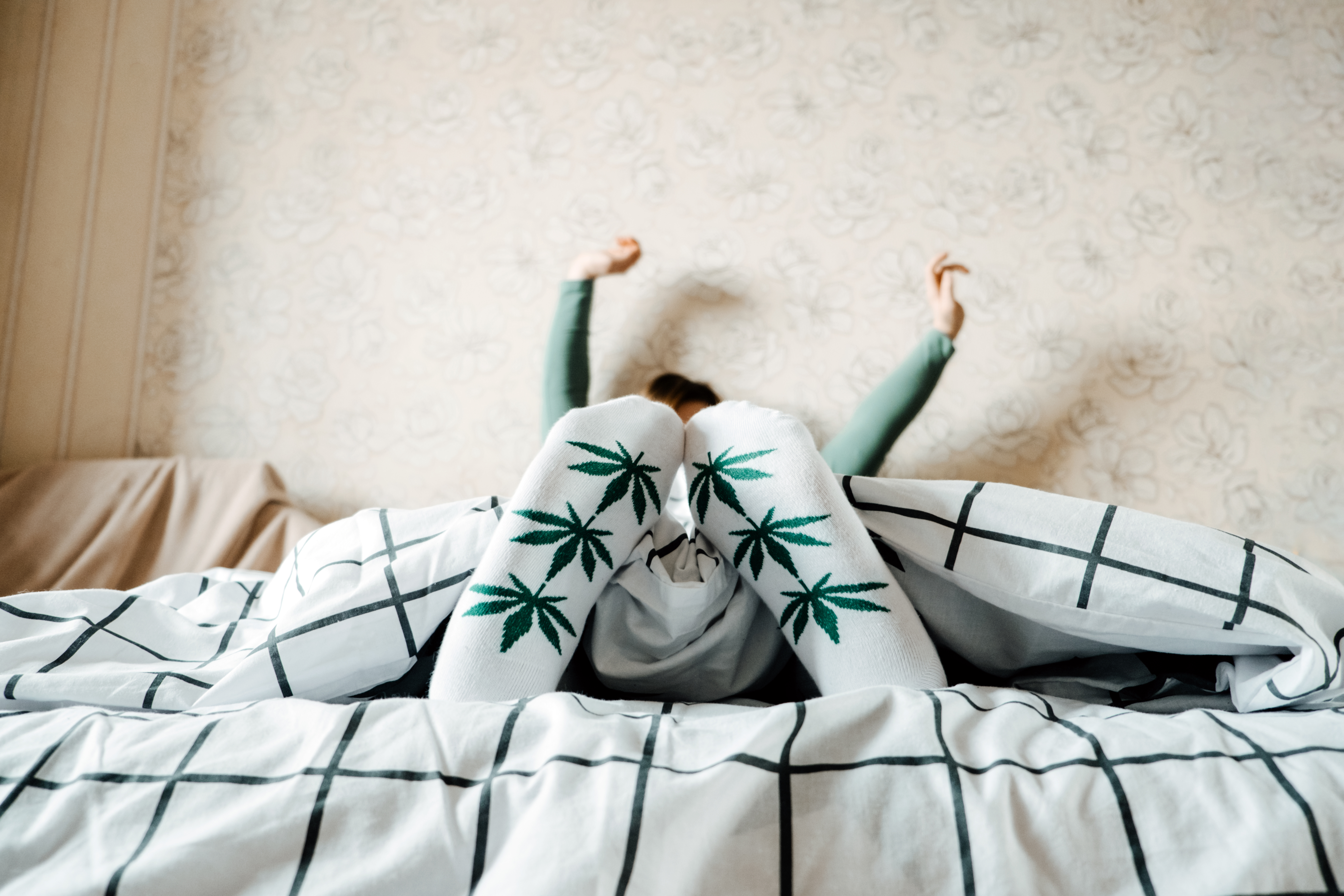 Cannabis and Sleep: The Ultimate Guide to Catching Those Zzz’s