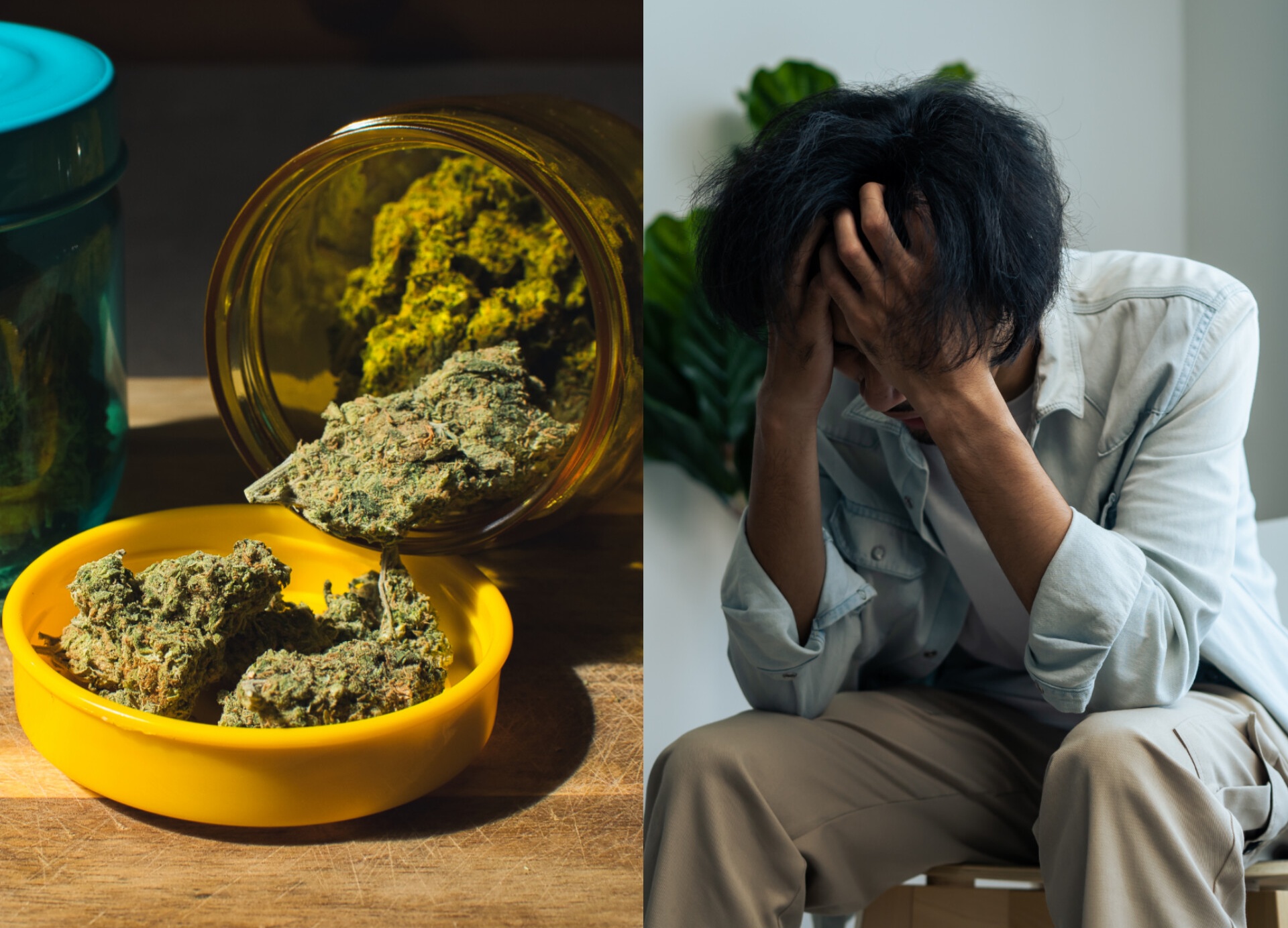 The Highs and Lows of Cannabis: How It Affects Anxiety