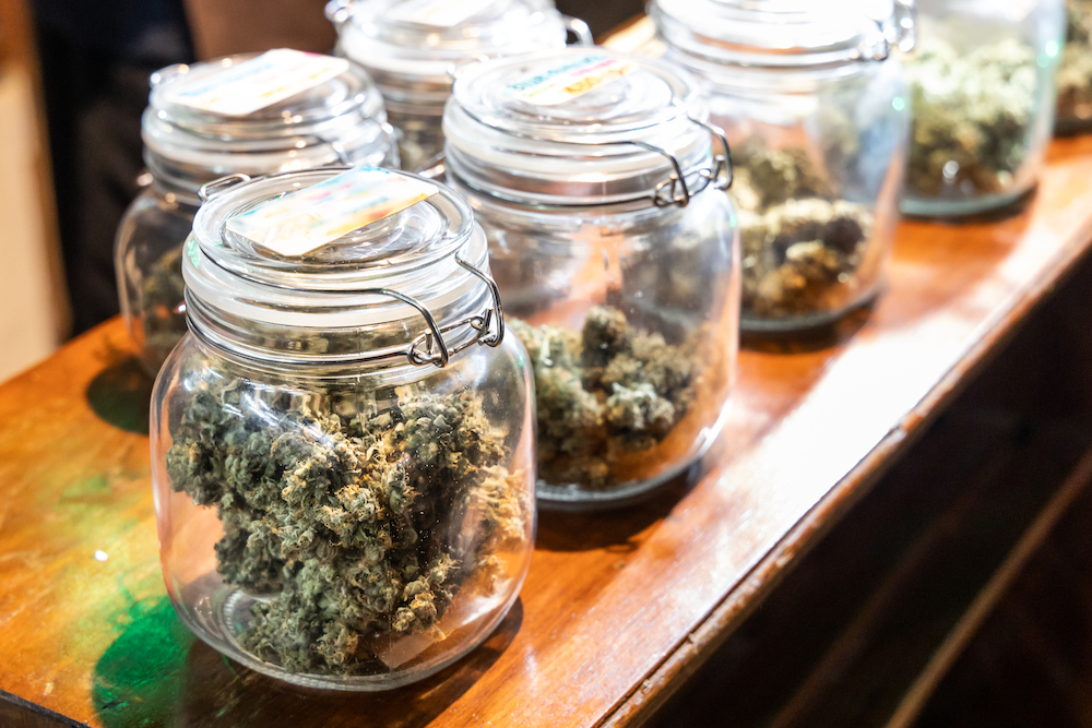 NJ-cannabis-dispensary-directory