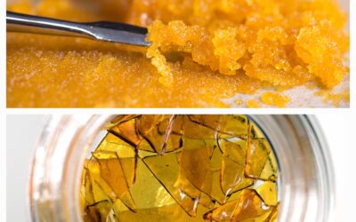 Understanding Marijuana Wax and Shatter