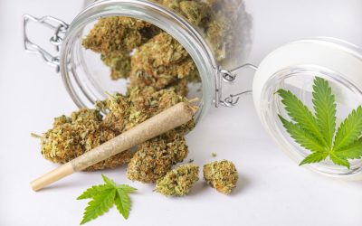 Where To Buy Legal Weed In NJ