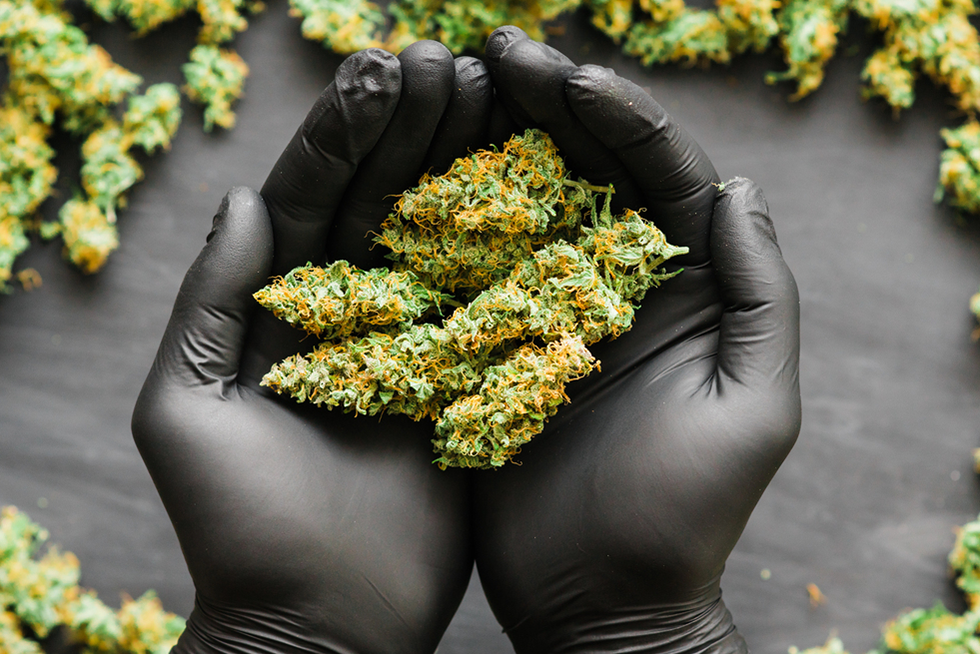 Best Cannabis Strains For Managing ADHD Symptoms