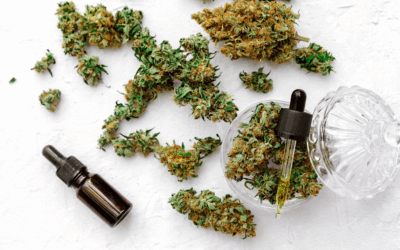 Can Marijuana Boost Your Energy Levels?