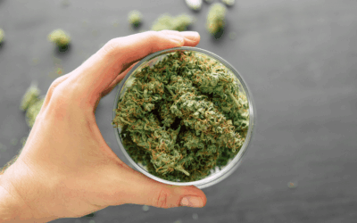 How To Buy Recreational Weed In NJ: A First-Timer’s Guide