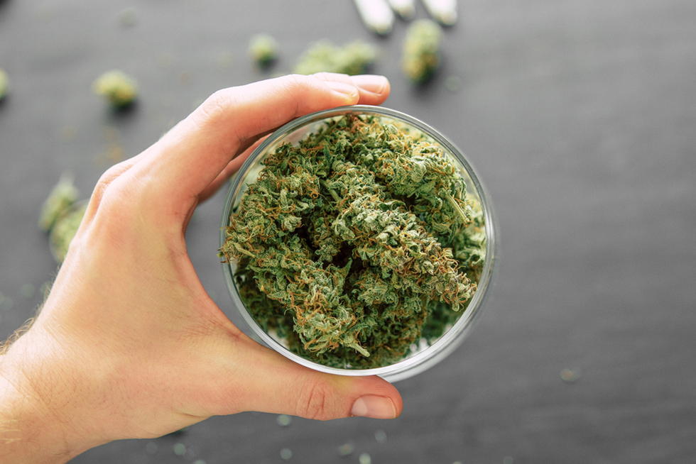 How To Buy Recreational Weed In NJ: A First-Timer’s Guide