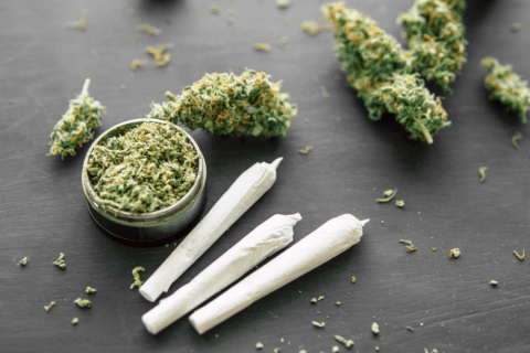 cannabis uk shop
