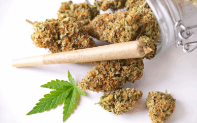 The Best Cannabis Strains To Enhance Your Sex Life